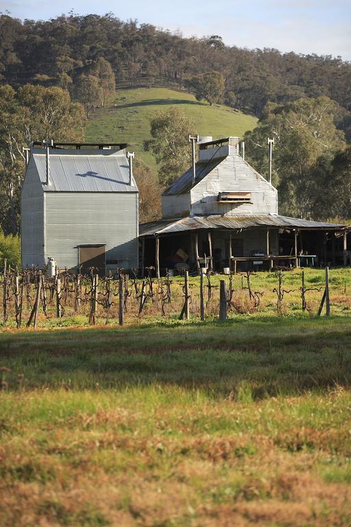 Myrtleford Motel On Alpine Room photo